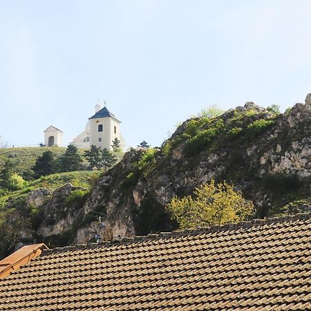 Velovino Apartman Mikulov Dış mekan fotoğraf