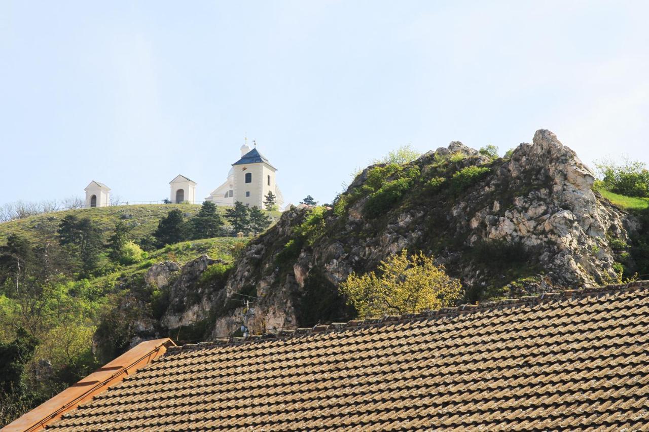 Velovino Apartman Mikulov Dış mekan fotoğraf