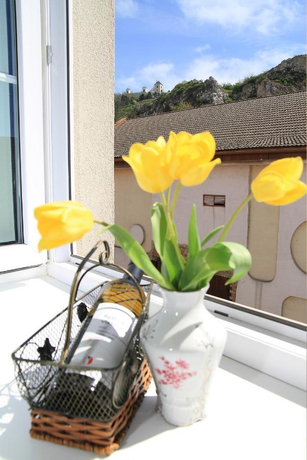 Velovino Apartman Mikulov Dış mekan fotoğraf